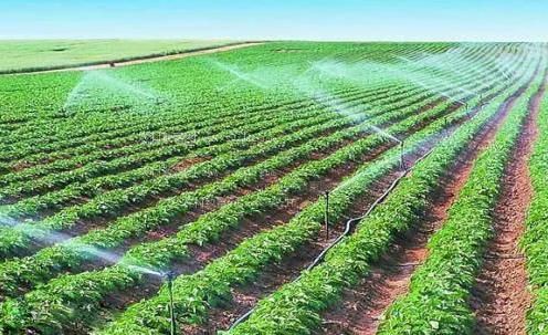男子操女子的网站农田高 效节水灌溉